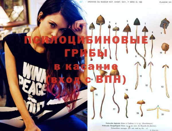 кокаин перу Елабуга