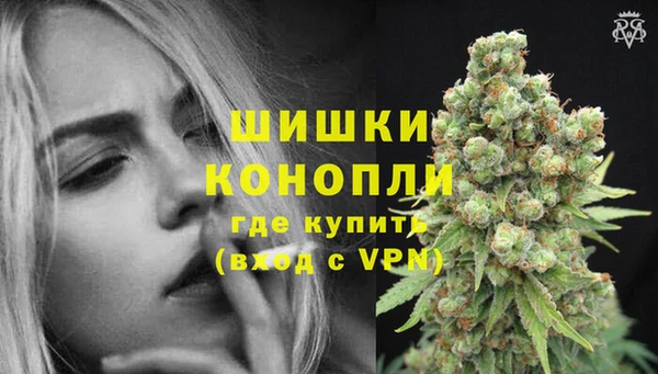 jwh Ельня